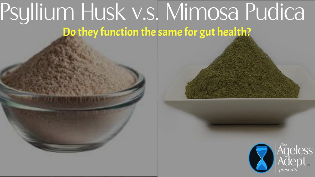 Psyllium Husk vs Mimosa Pudica for Scraping Toxins from Gut