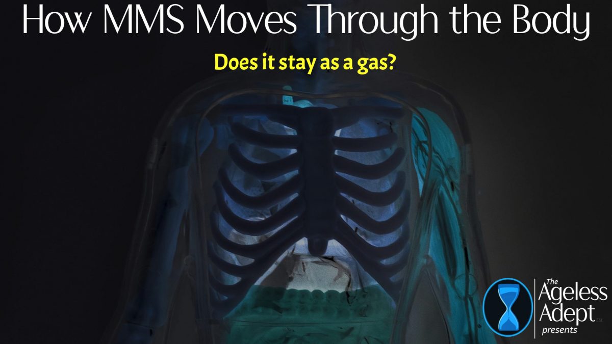 How MMS Actually Moves Through the Body (Oral vs Rectal)