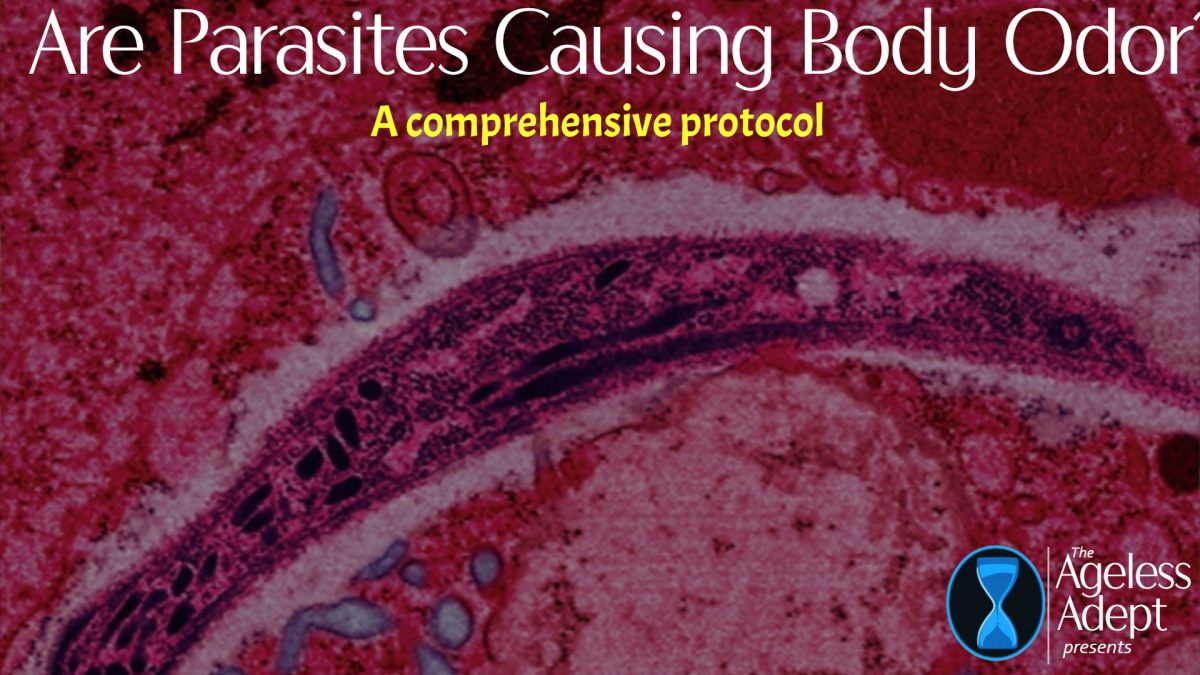 A Comprehensive Parasite Protocol & Body Odor