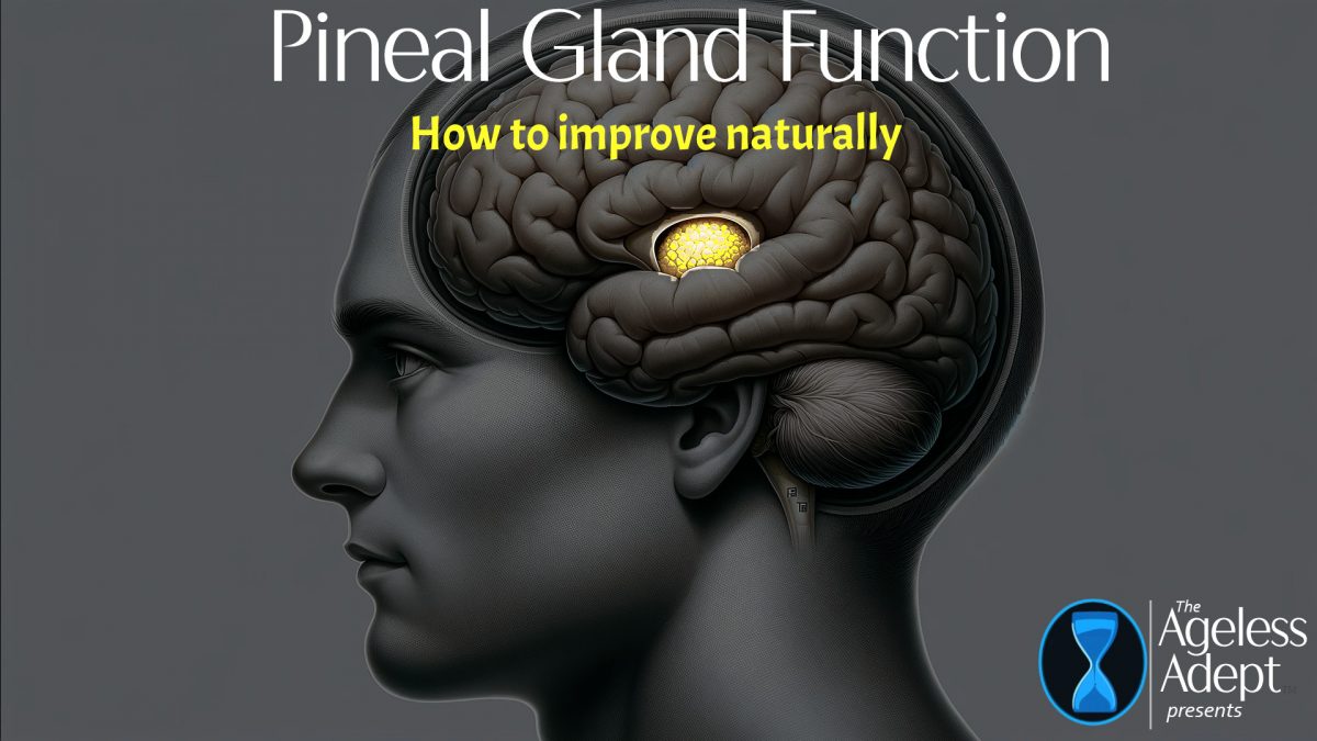 How Can I Increase Pineal Gland Function?