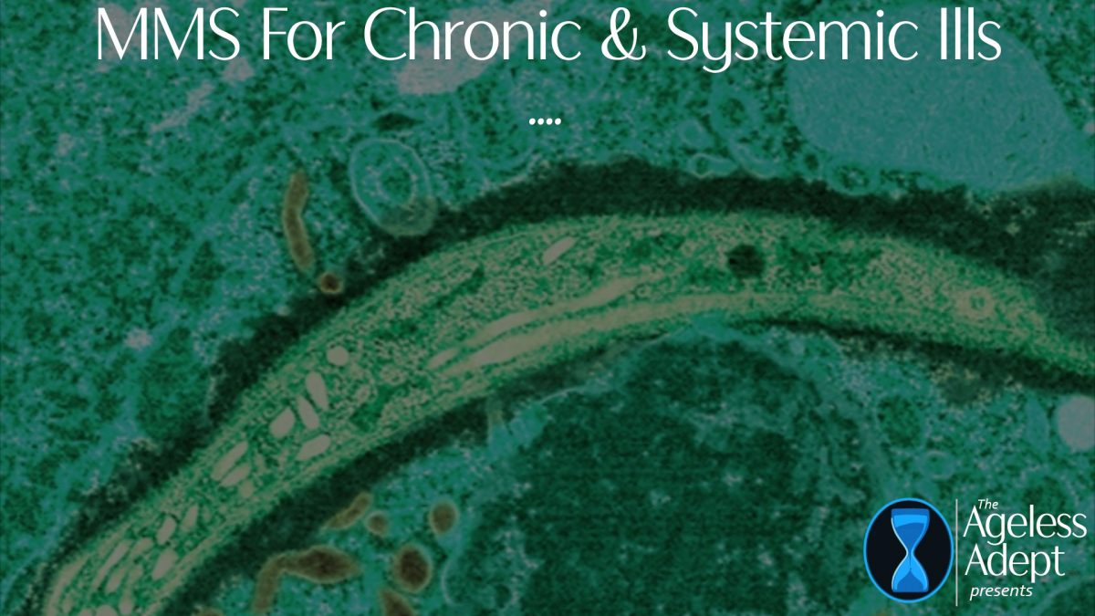 MMS for Chronic, Years-Long Infestation