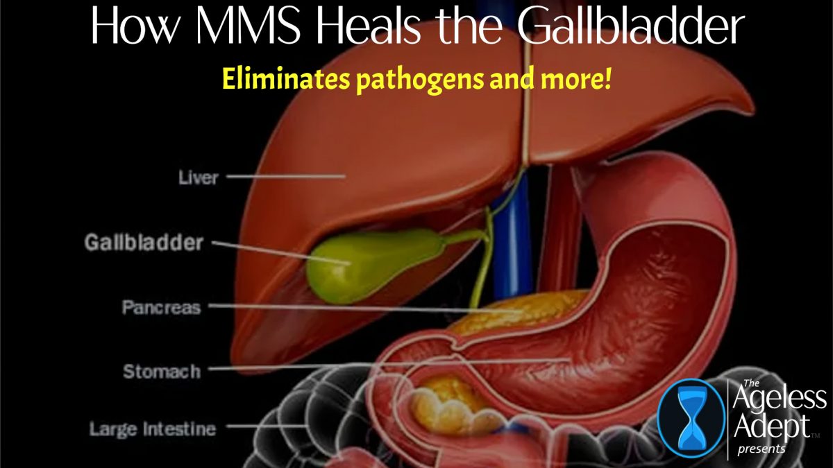 How MMS Heals the Gallbladder