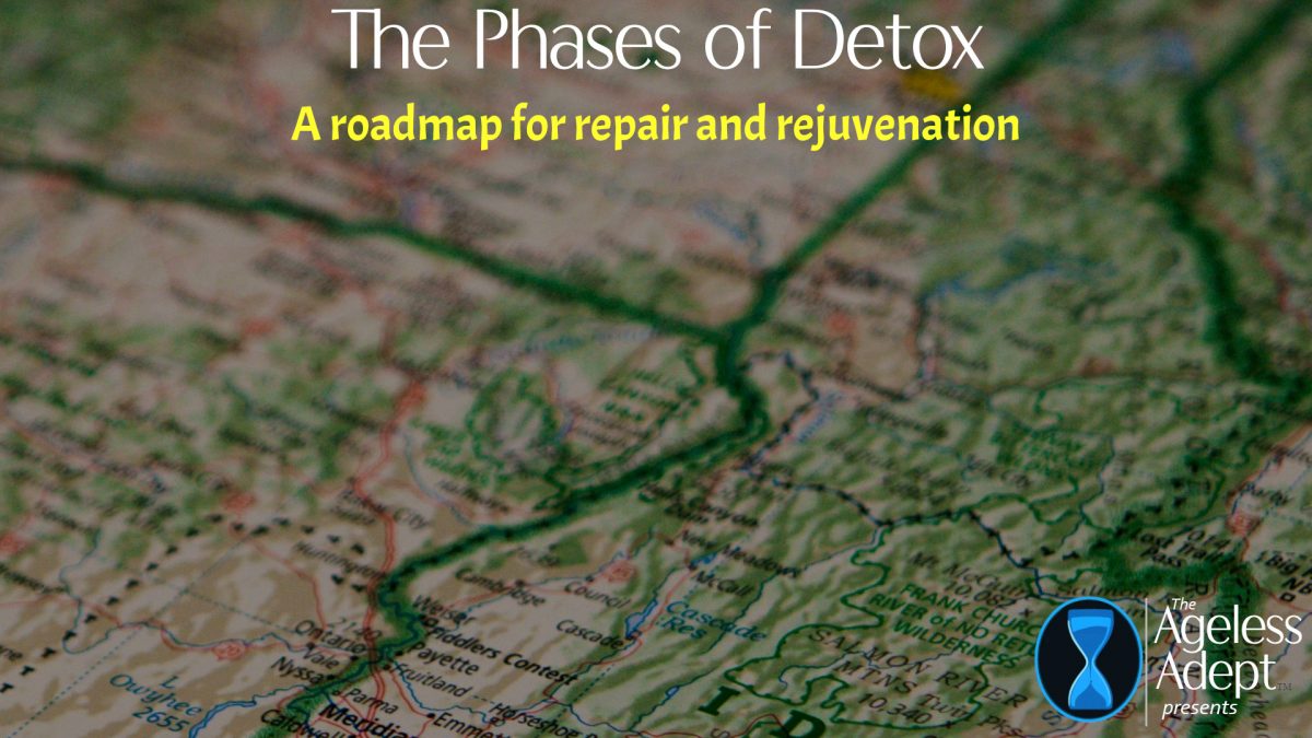 New! The Phases of Detox!