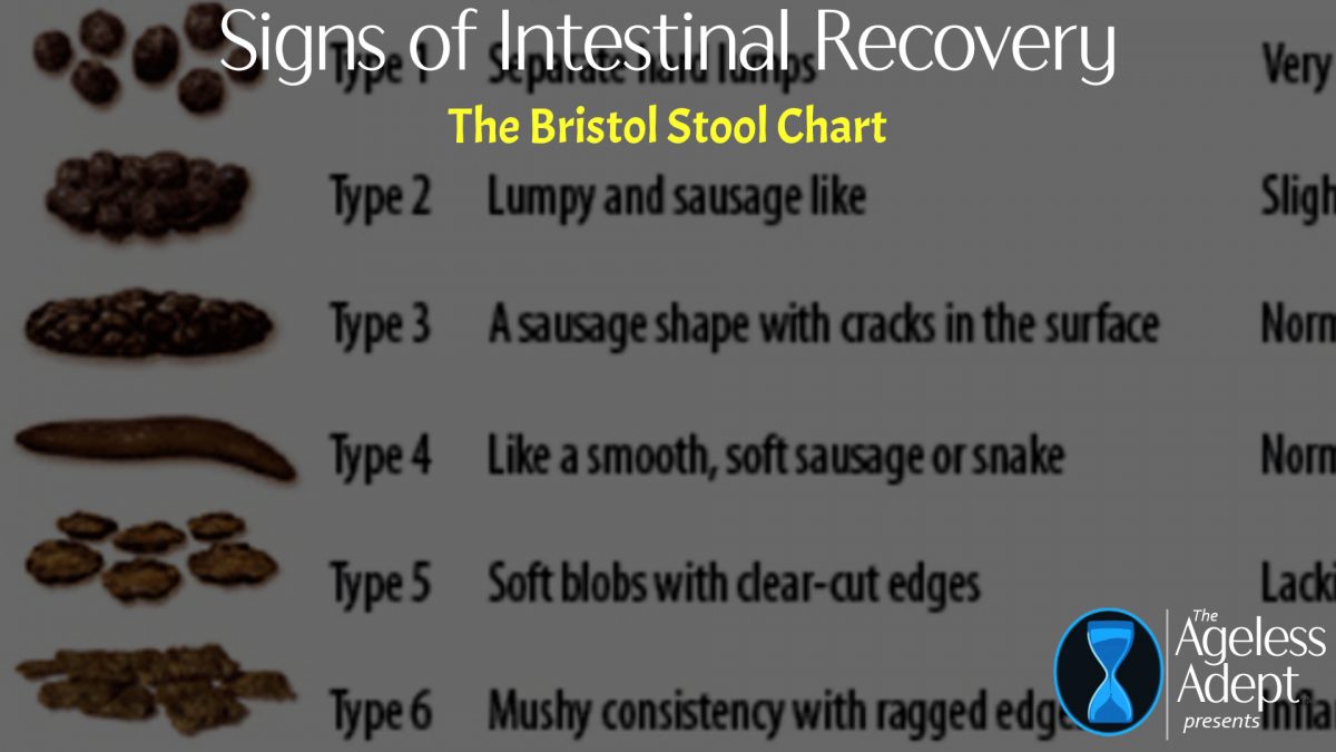 Signs of Intestinal Recovery | The Bristol Stool Chart