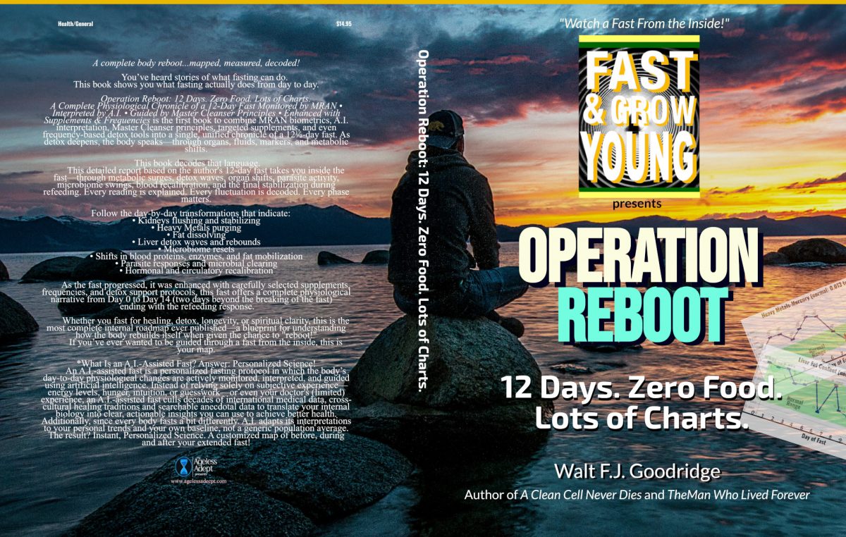 Announcing Operation Reboot: An AI-Assisted Fast!