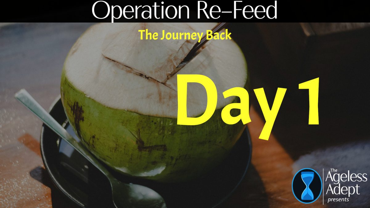 Operation Re-Feed—Day 1 (The Journey Back [14])