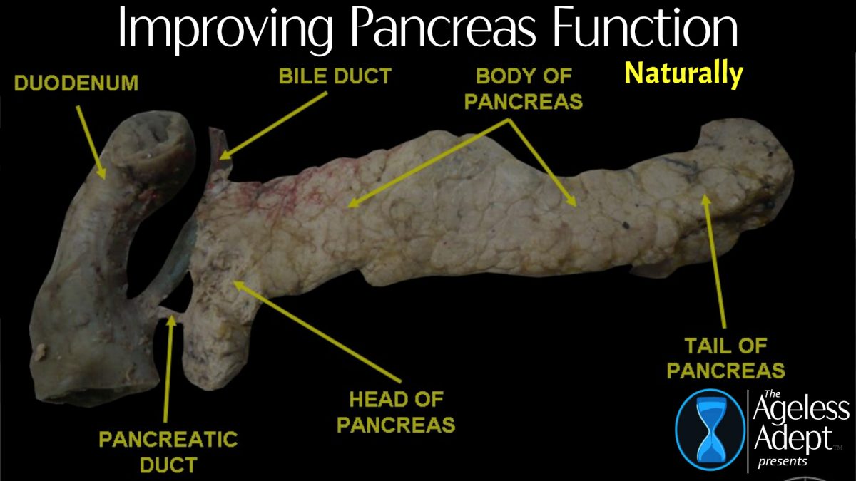 How Do I Improve Pancreatic Function?