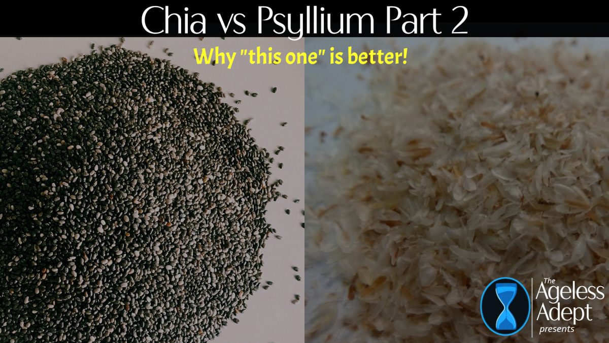 Chia v.s. Psyllium the Sequel