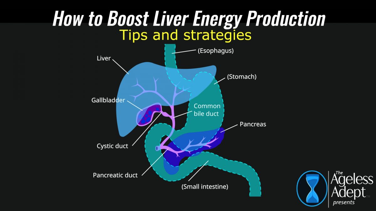 How to Resuscitate Liver Energy Production