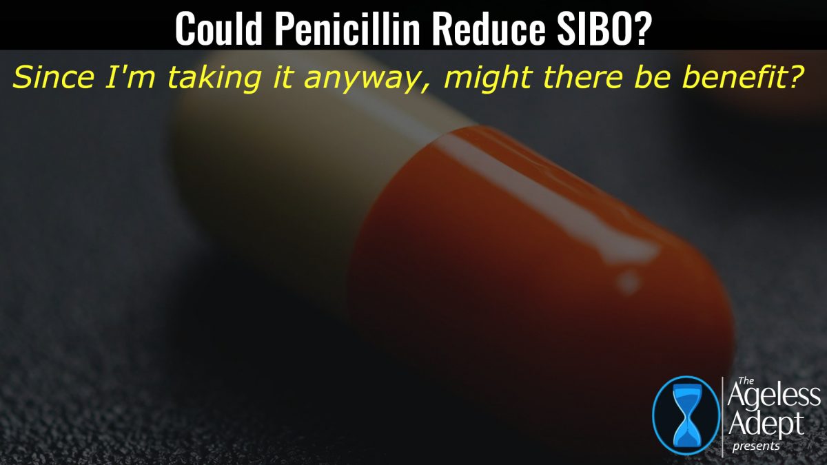 Penicillin and SIBO?