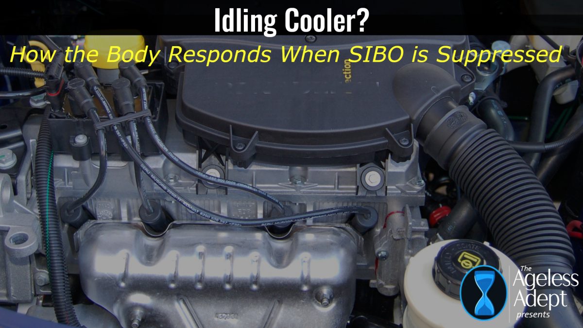 SIBO Suppression Makes Me Idle Cooler!