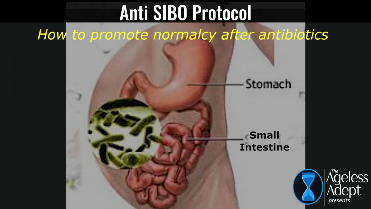 Post Penicillin Anti-SIBO Protocol