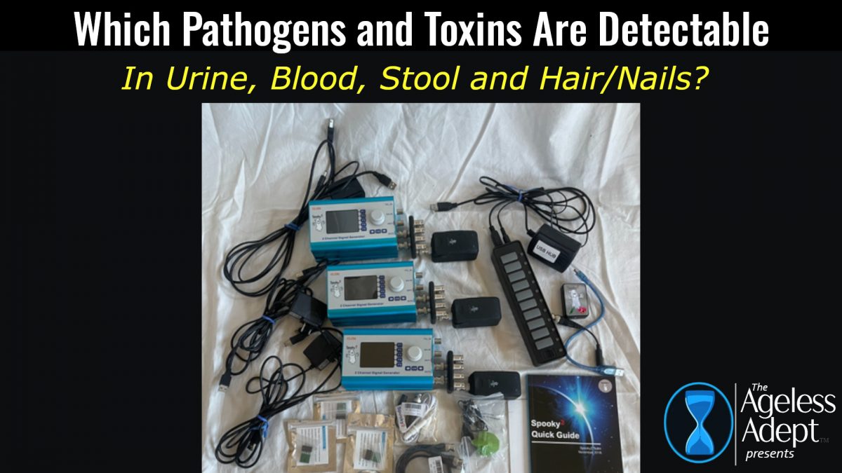 Can I Detect Parasites in a Urine Sample?