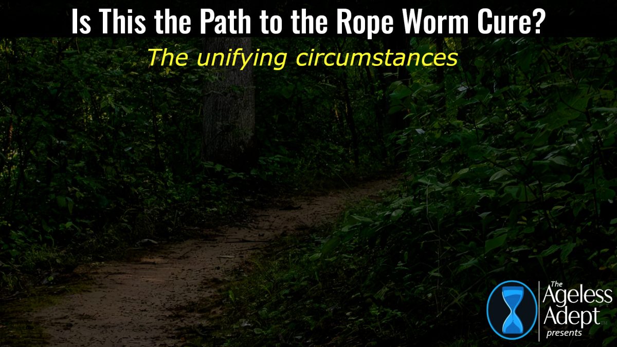 Is This the Rope Worm Explanation You’ve Been Searching For?