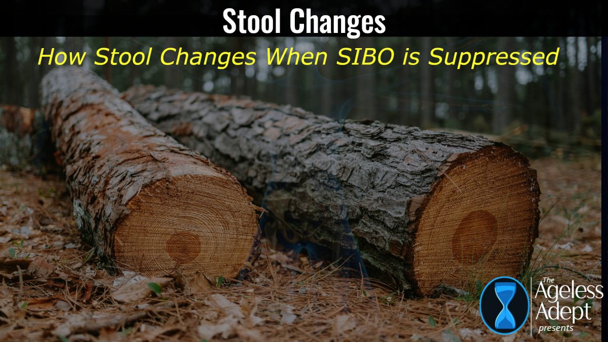How Stool Form is Affected by SIBO Suppression